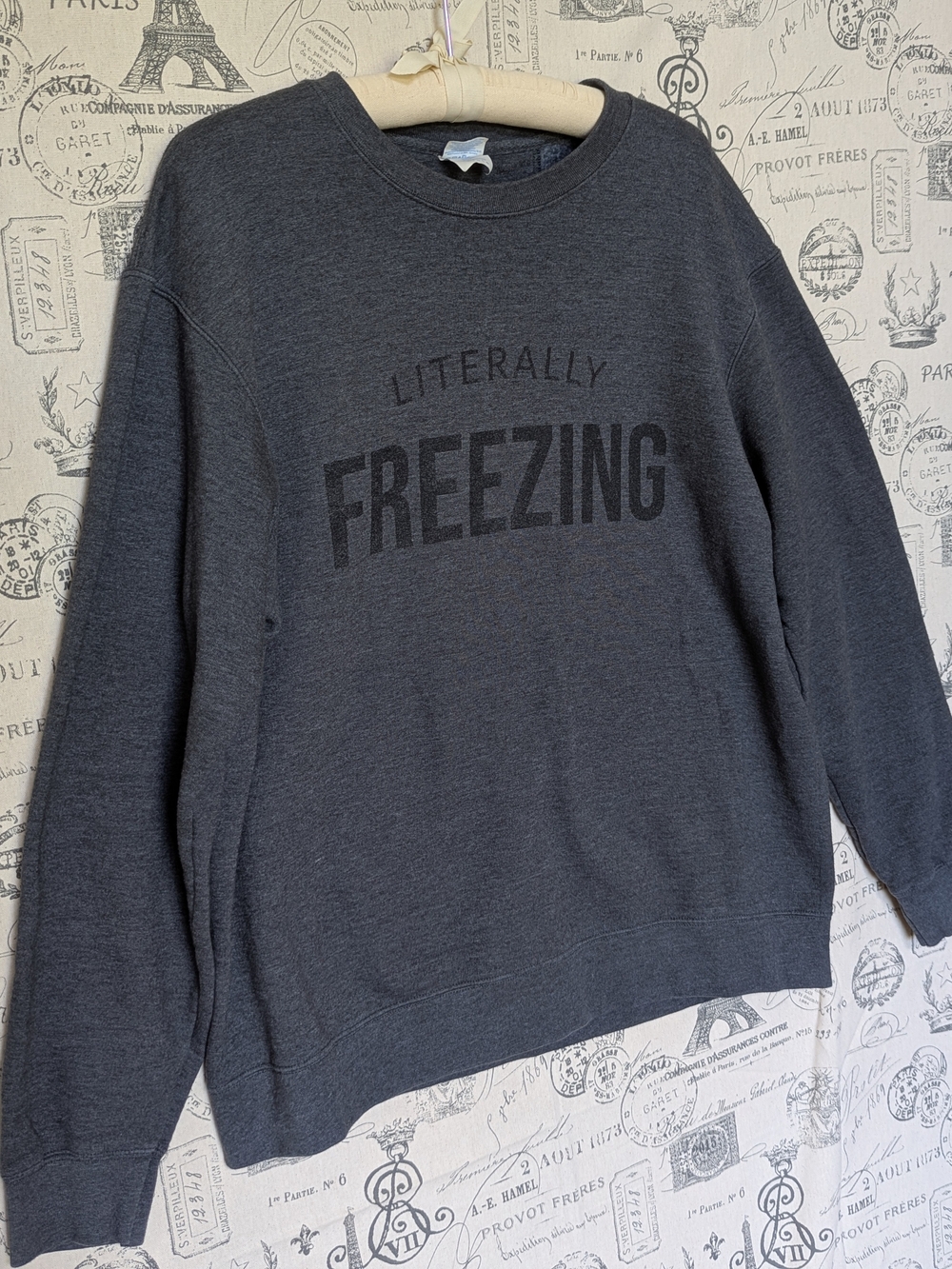"Literally Freezing" Crewneck Sweatshirt - Size L